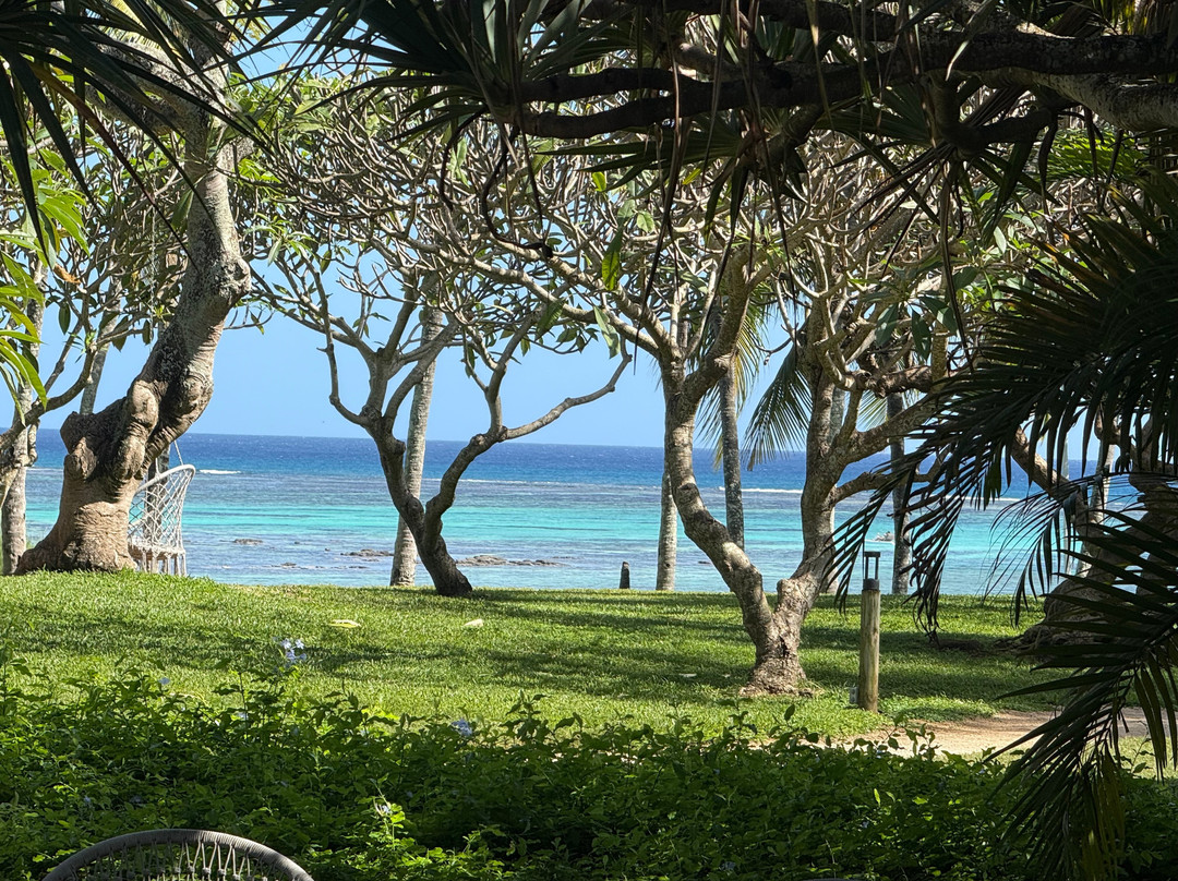 Taxi Mauritius Transfer-博巴森-荷津必去景点