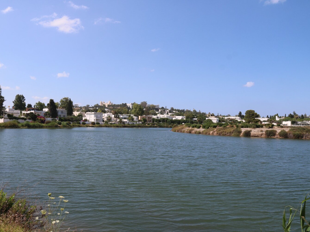 Punic Ports & Museum-迦太基必去景点