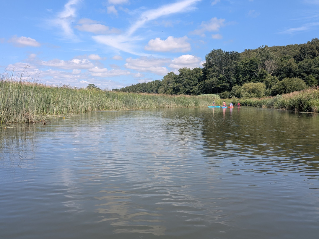 Pulborough Paddles-Pulborough必去景点