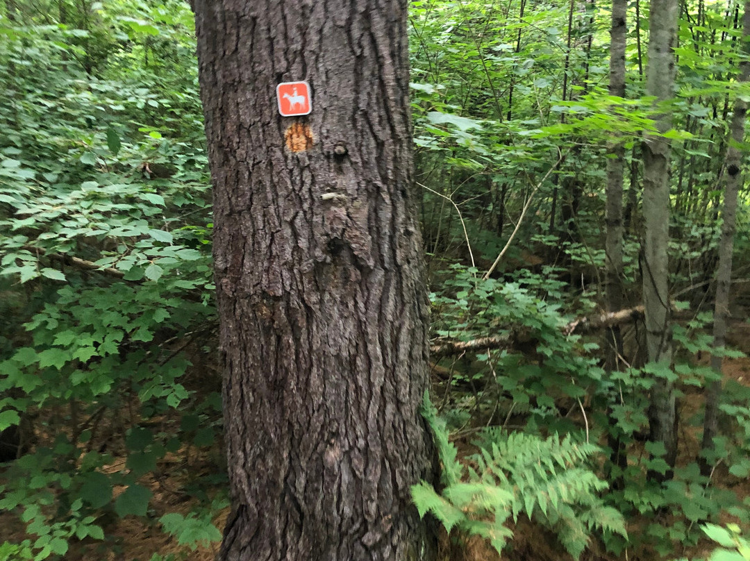 South Algonquin Trails-Harcourt必去景点