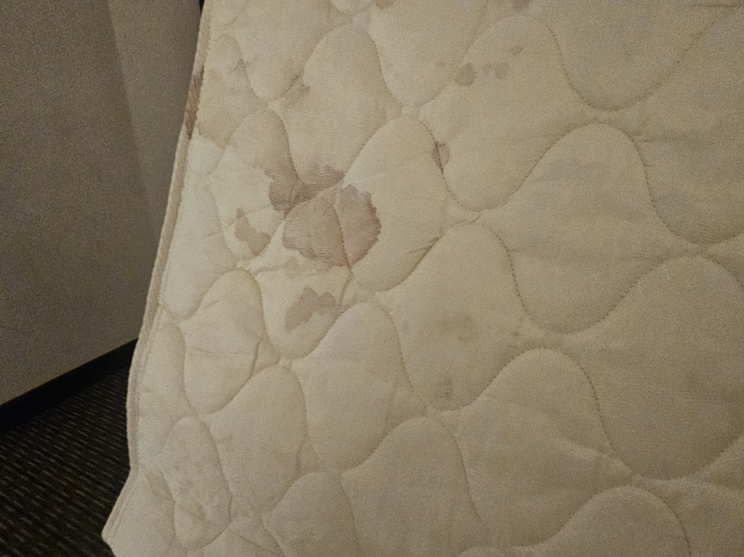 La Quinta Inn & Suites by Wyndham Pueblo主图