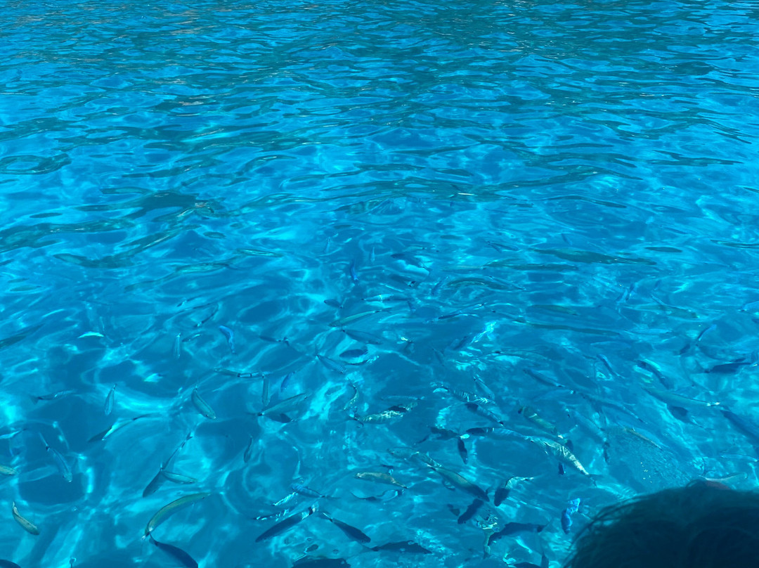 Mari Nostru Noleggio Gommoni-Costa Rei必去景点