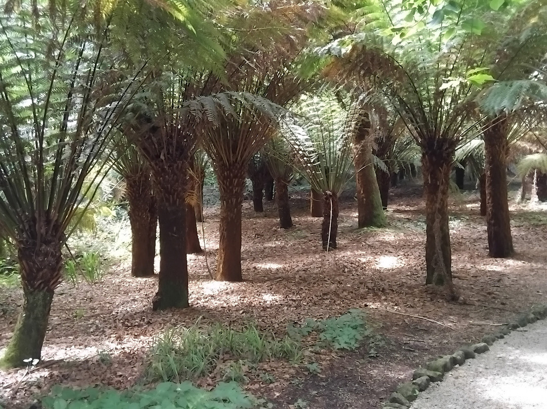 Trengwainton Garden-彭赞斯必去景点
