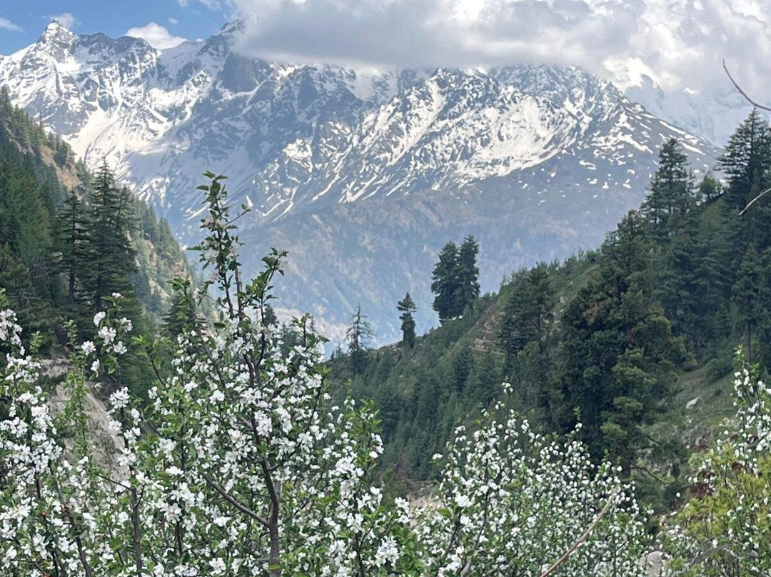 Raacho Trekkers-Kalpa必去景点