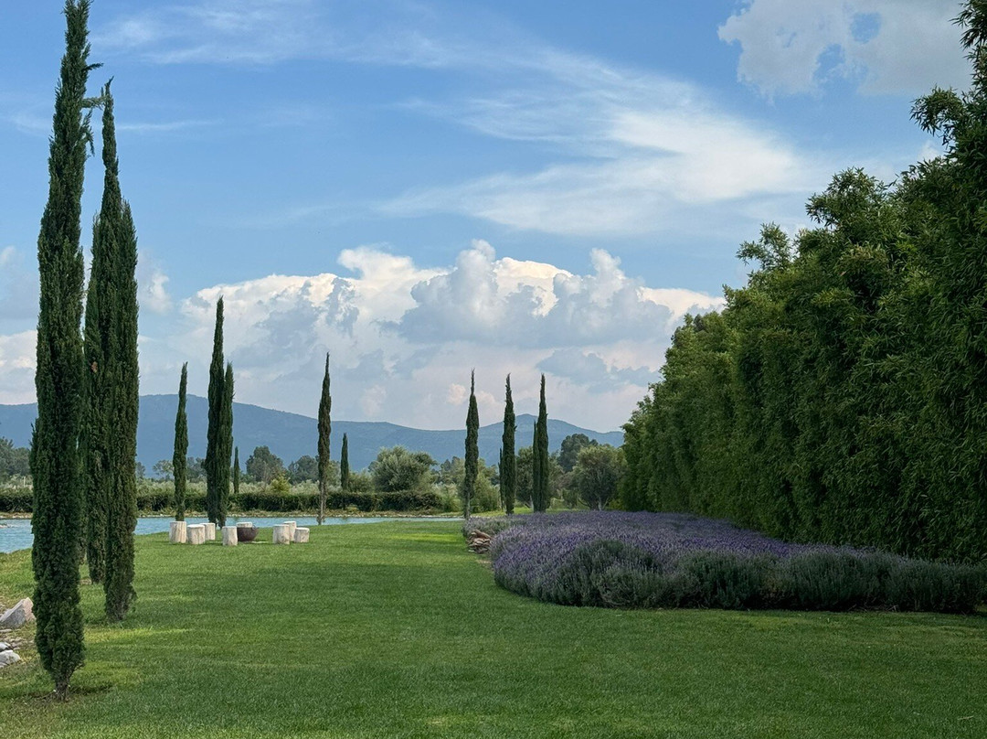 Viñedos Santa Catalina主图