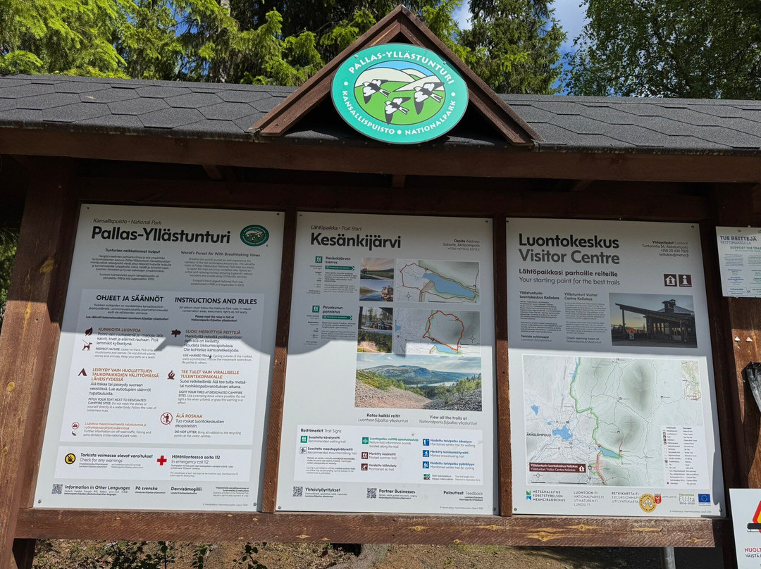 Pallas-Yllästunturi National Park-Muonio必去景点