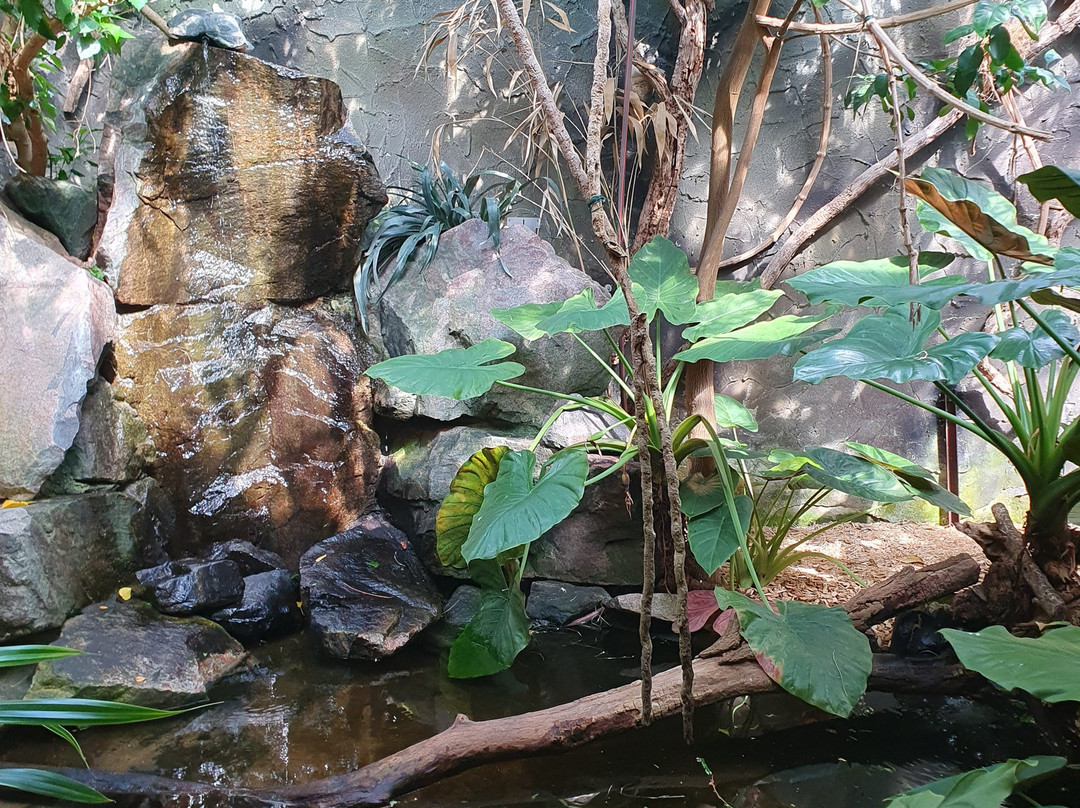 Zoo Landau-Landau in der Pfalz必去景点