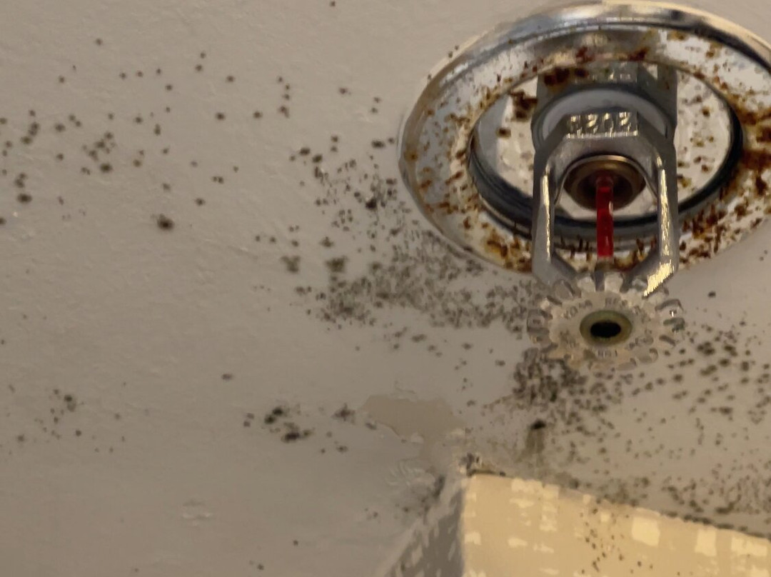 Hampton Inn & Suites Adairsville-Calhoun Area主图