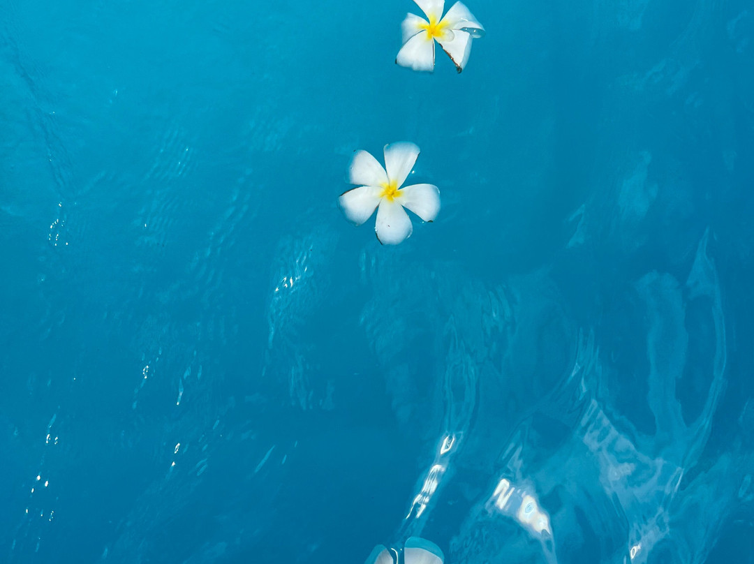 HA Beach Hotel Zanzibar