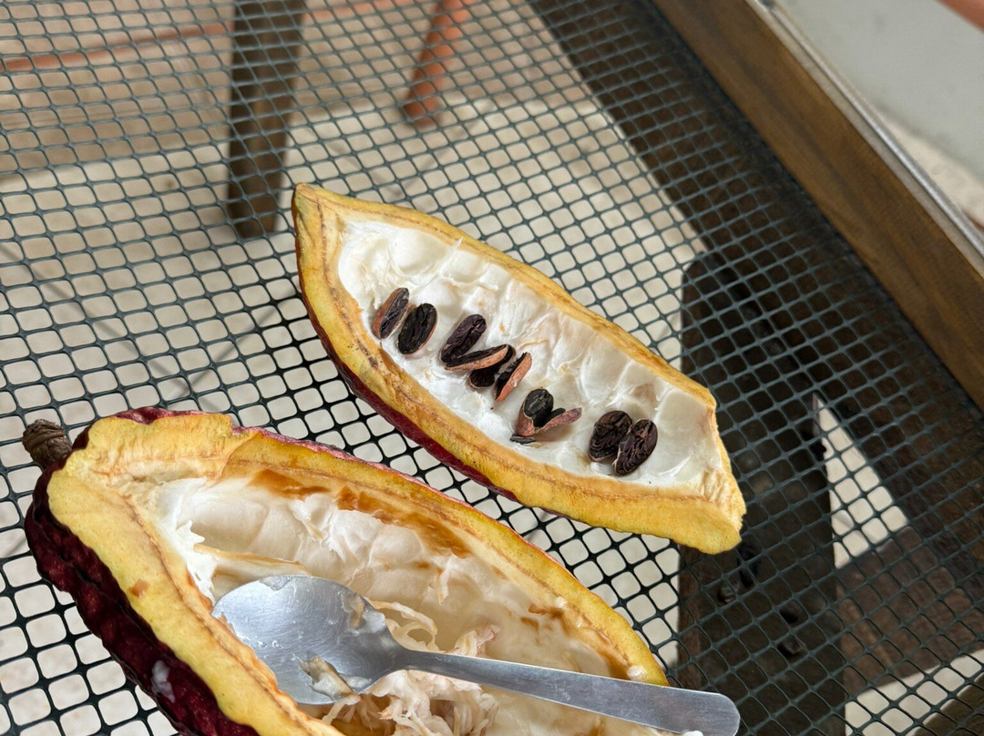 Bici Chocolate Tour-San Isidro必去景点