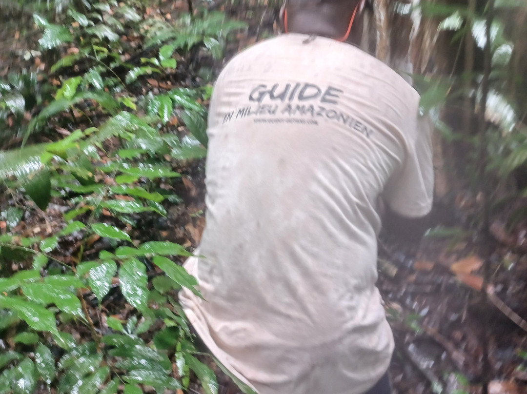 Guyane Brésil Transport-Saint-Georges必去景点