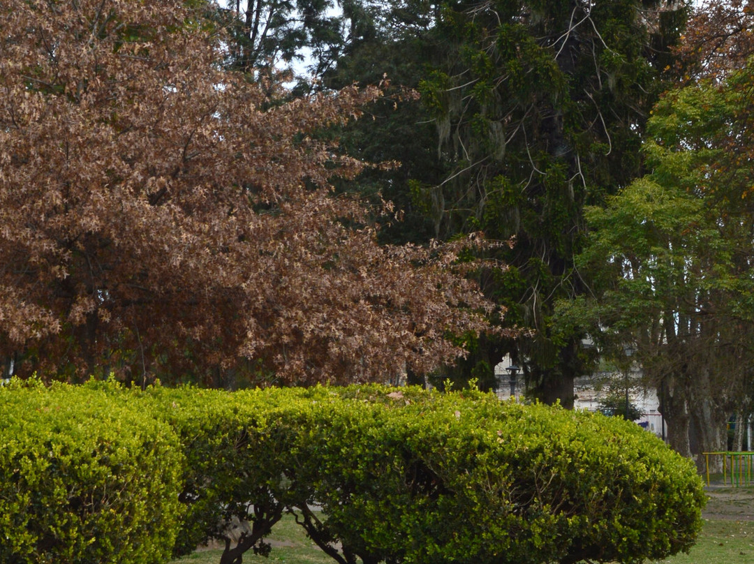 Plaza San Martin-瓜莱瓜伊丘必去景点