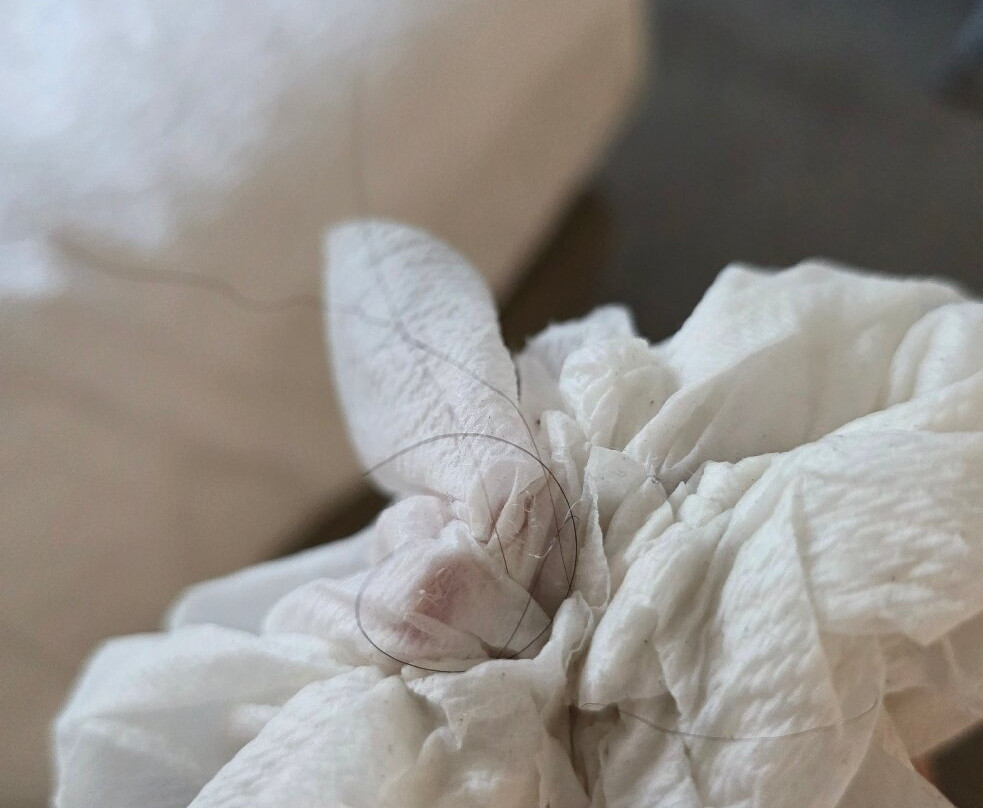 Home2 Suites by Hilton Foley主图