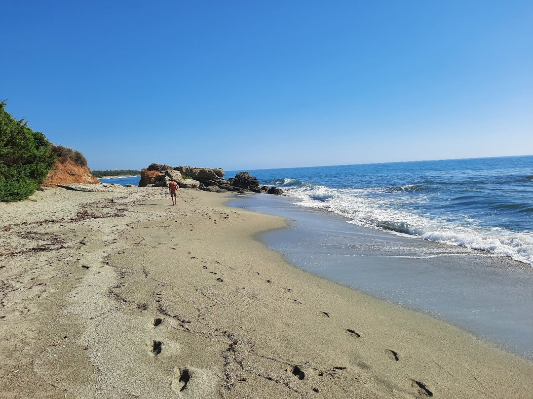 Plage de Bravone-Linguizzetta必去景点