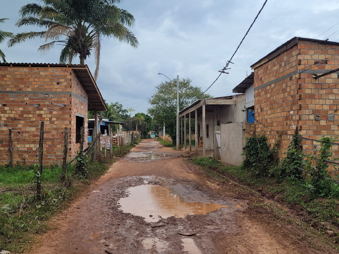 Ilha de Cotijuba-贝伦必去景点