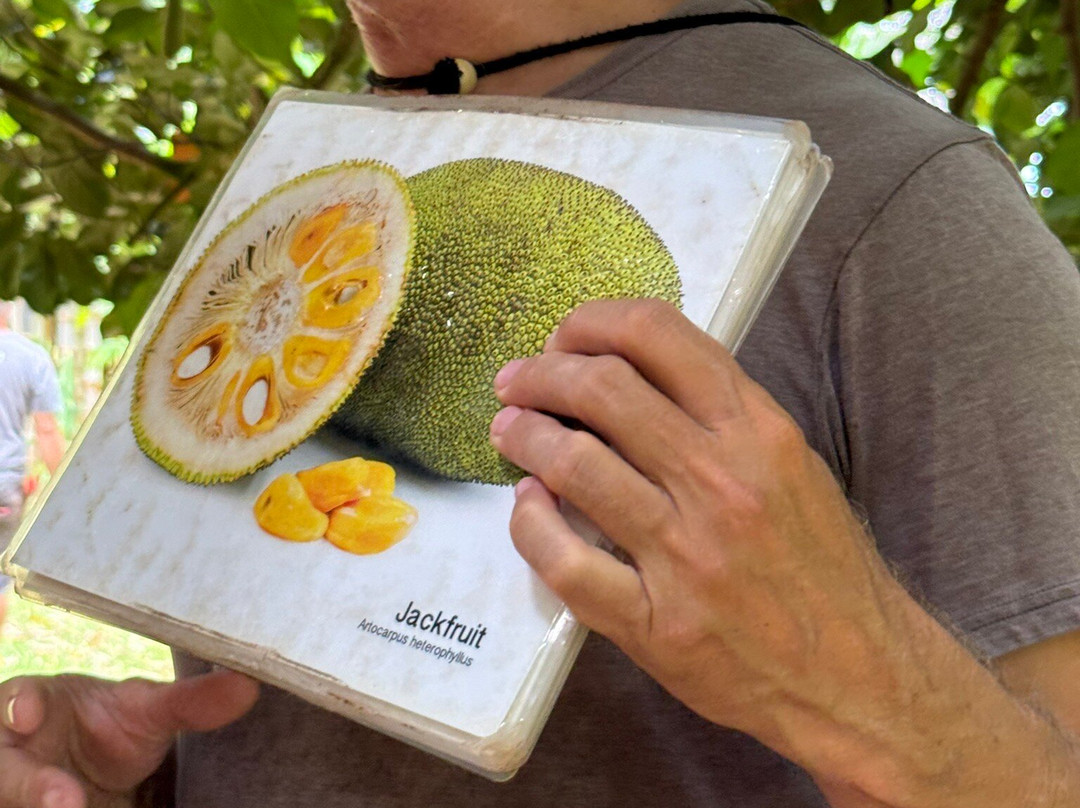 Hamakua Chocolate Farm-帕派科欧必去景点