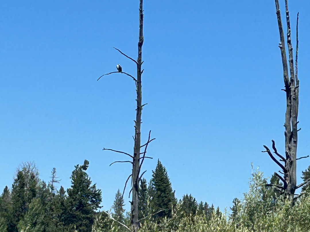 Mack`s Inn Float Trip and Rentals-艾兰帕克必去景点