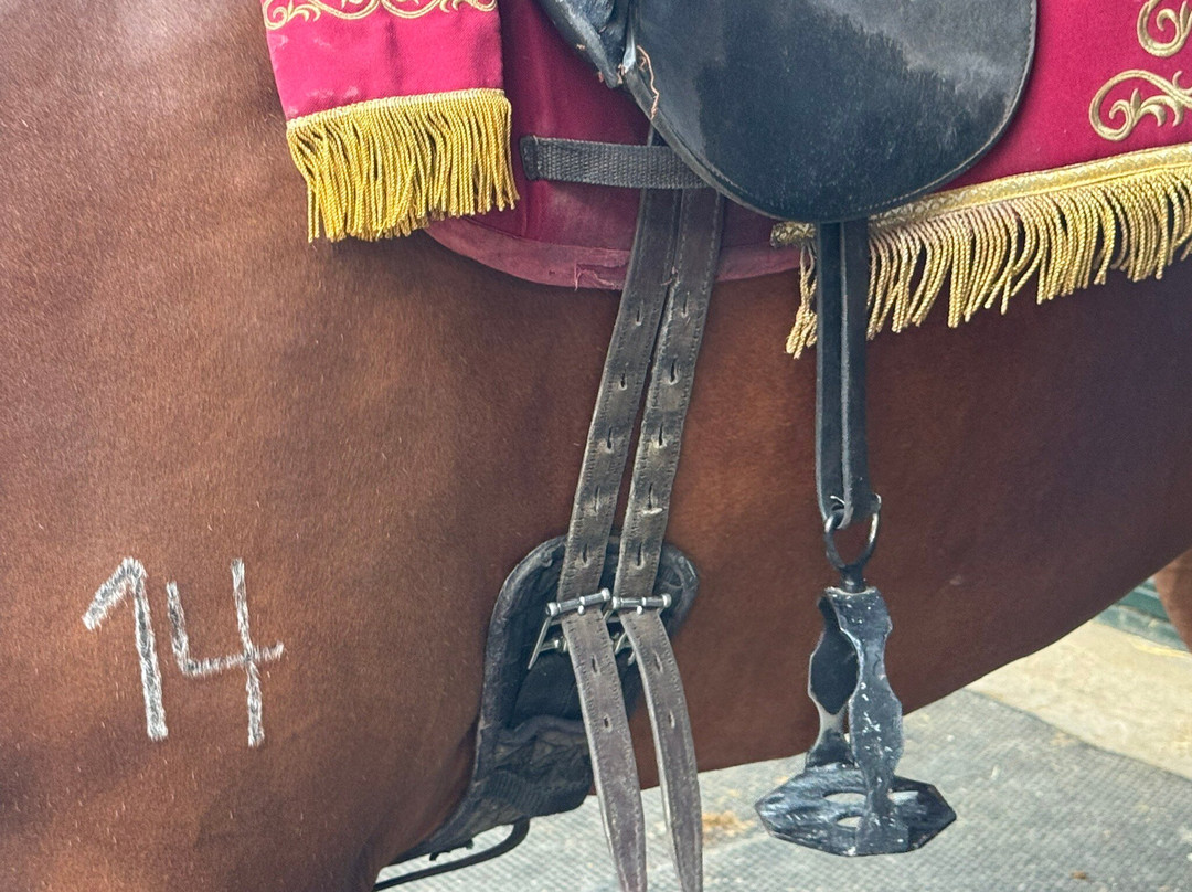 Caballerizas Reales de Cordoba-科尔多瓦必去景点