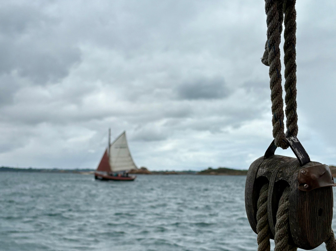 Embarquez Sur Eulalie-Ile-de-Brehat必去景点