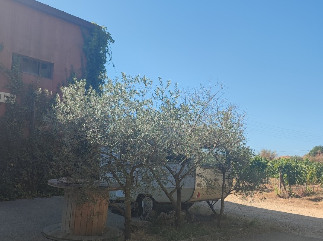 Prior Lucas Vinhos-科英布拉区必去景点