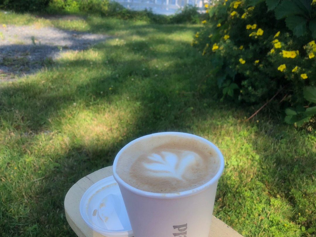 Ditchfield Microtorréfacteur