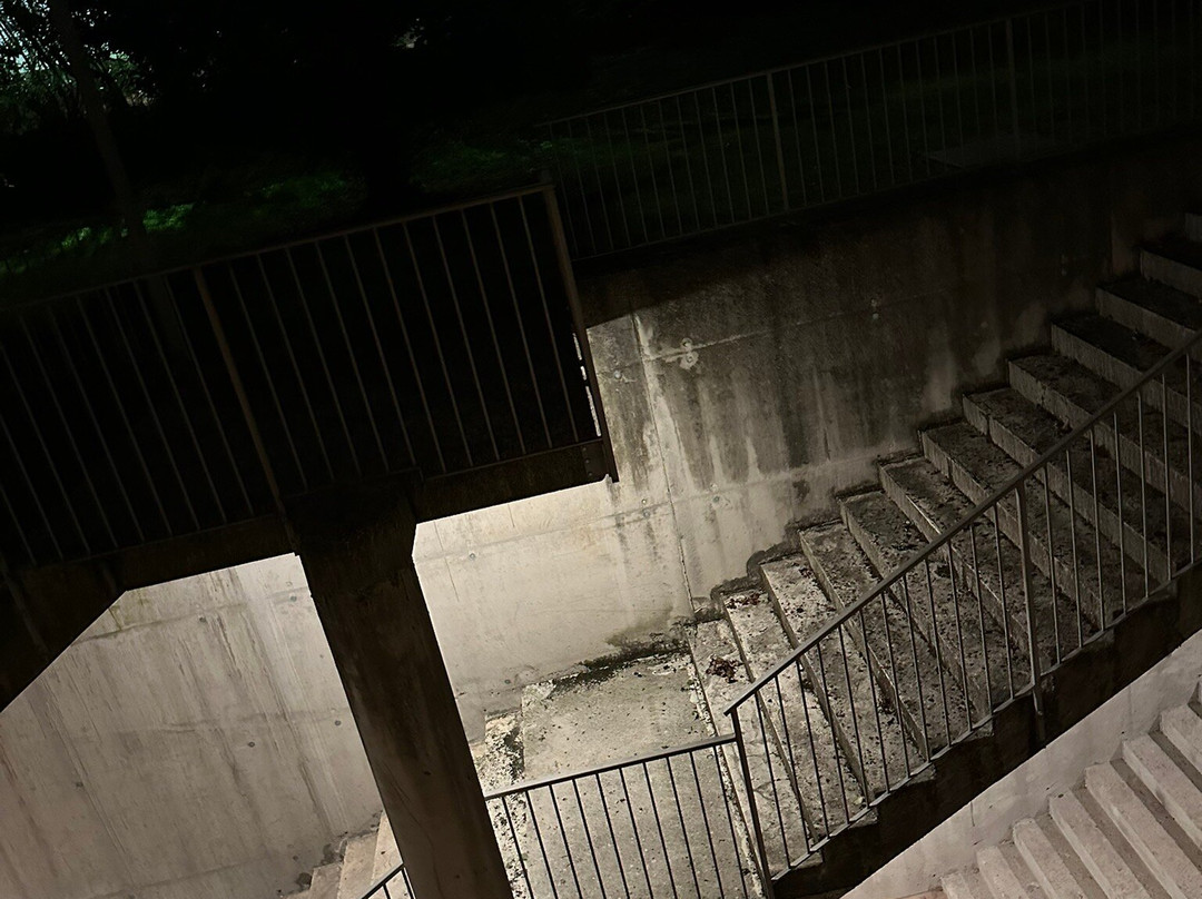 帕奇戴加尔达酒店主图