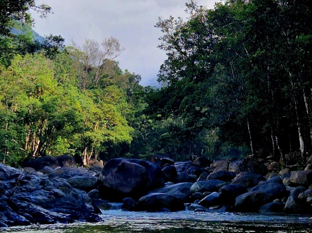 Mossman Gorge-道格拉斯港必去景点
