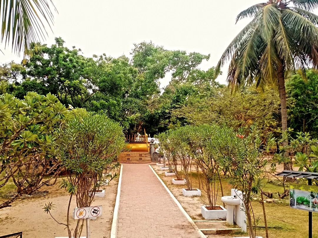Dambakola Patuna Sangamitta Temple-贾夫纳必去景点