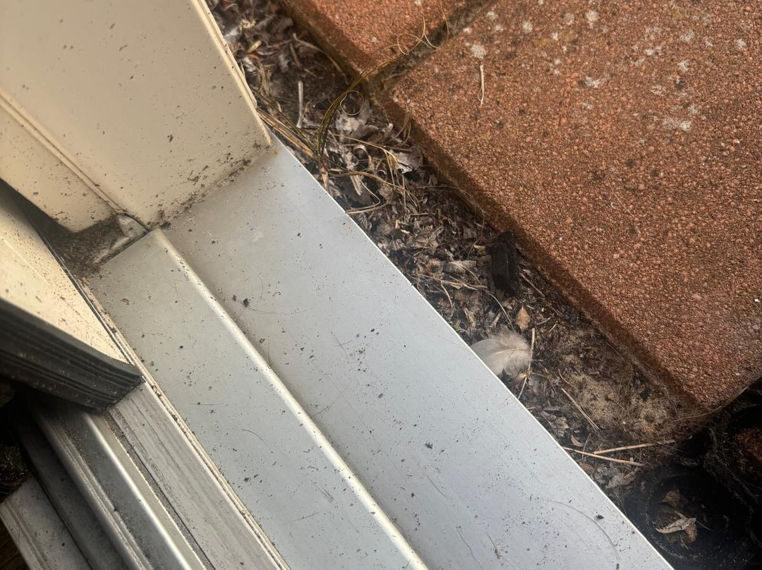 多洛雷斯酒店主图