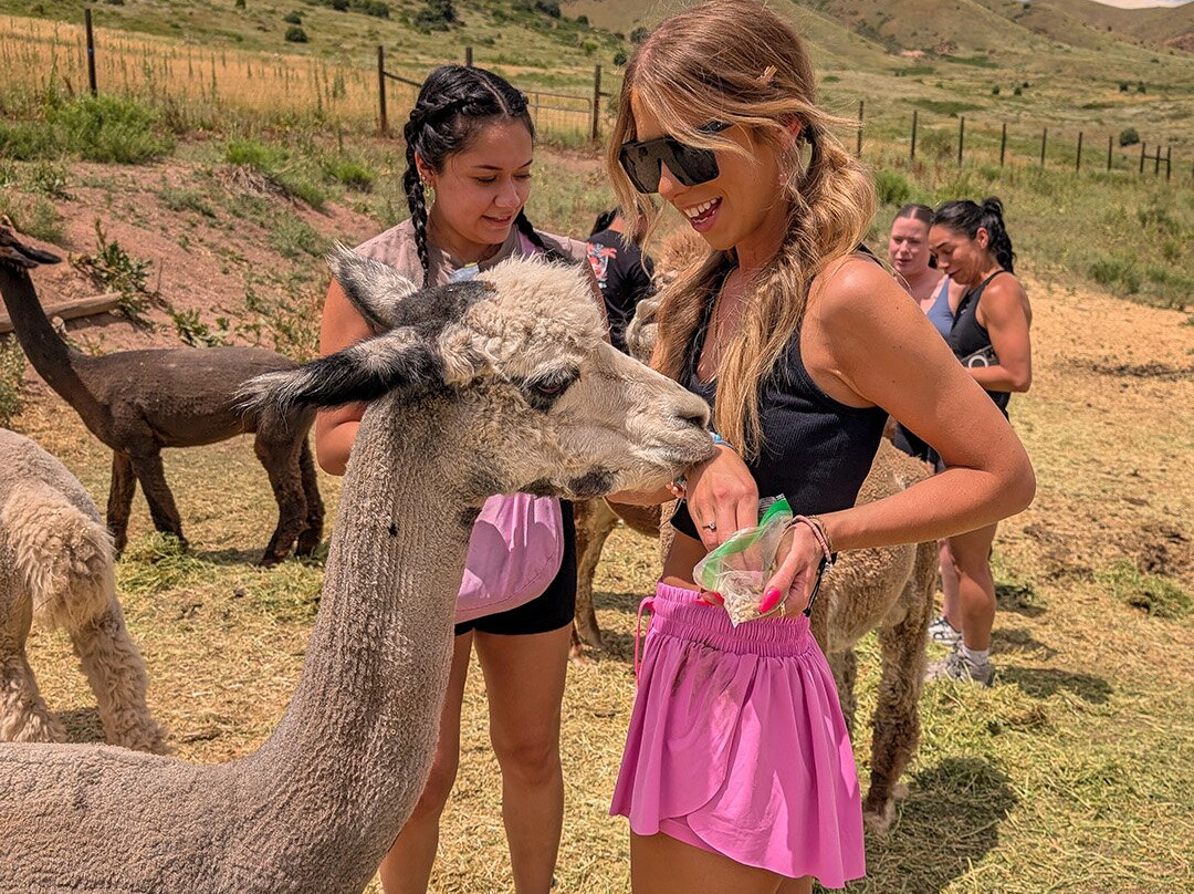 Smooth Alpaca Experience-Morrison必去景点