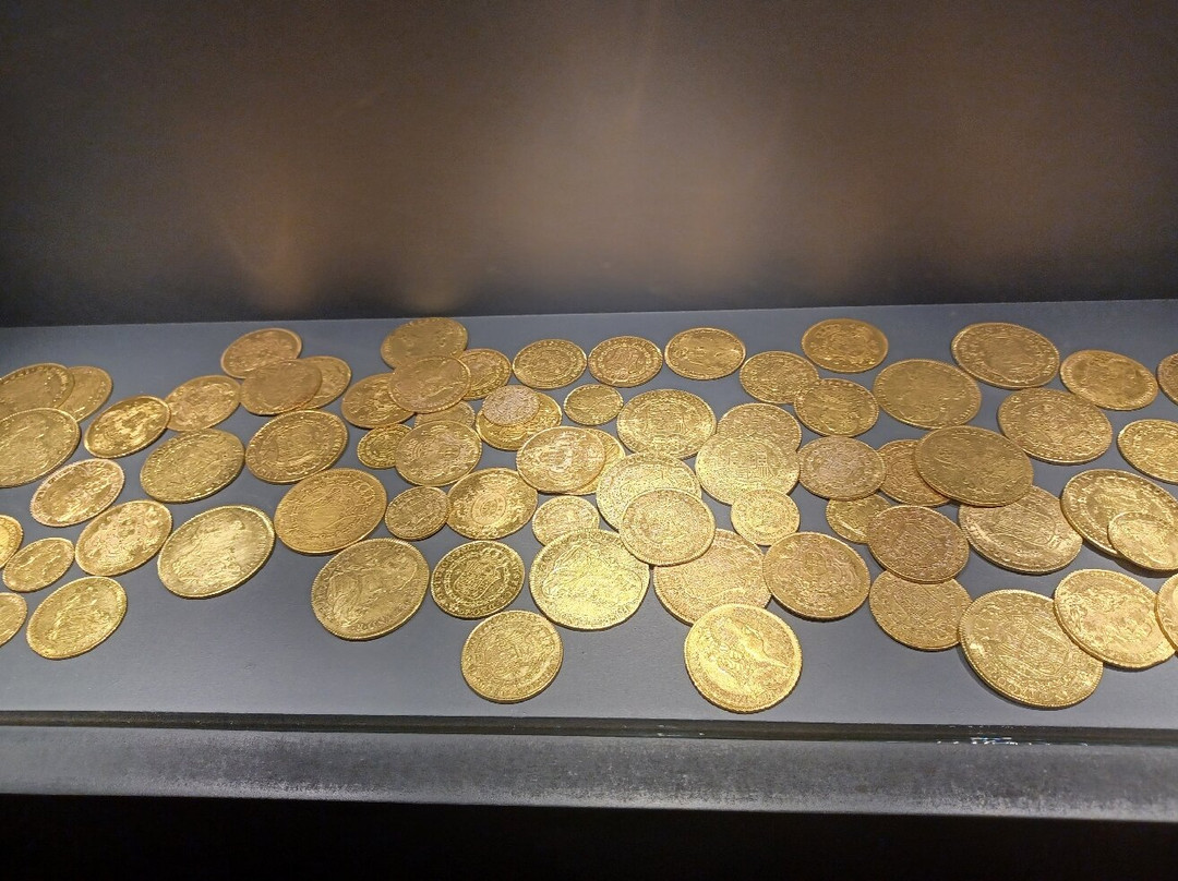 Museo Provincial-雷阿尔城必去景点