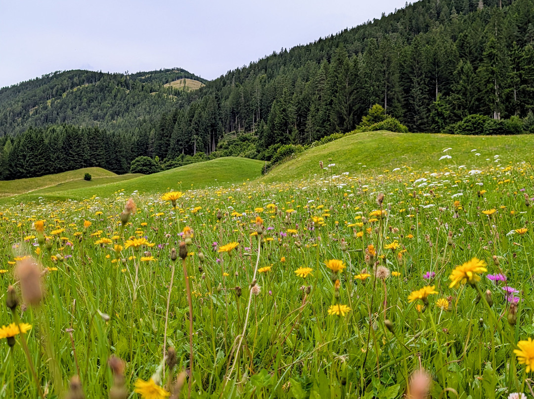 Weissensee Lake-Weissensee必去景点