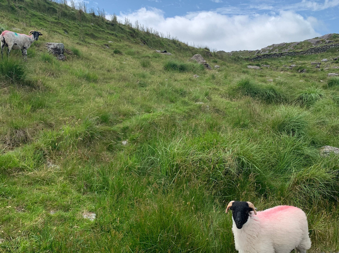 Glengarriff Tours-Glengarriff必去景点