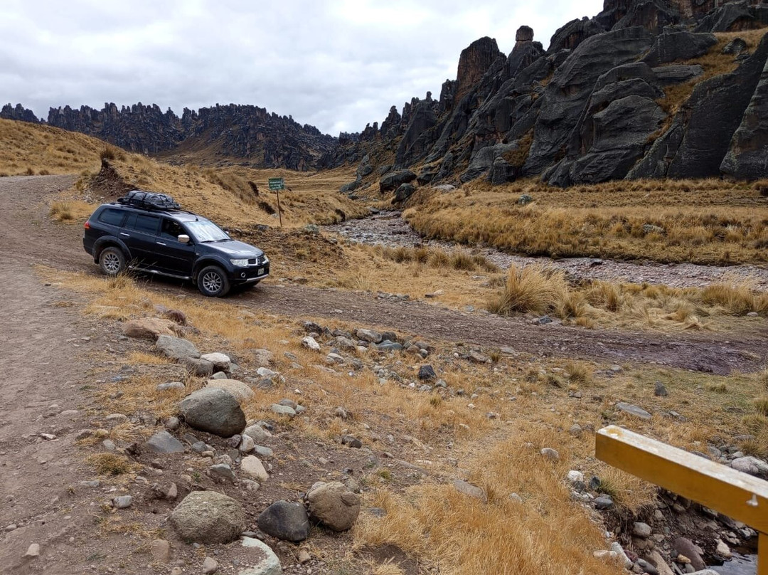 Bosque de piedras de Huayllay-Cerro de Pasco必去景点