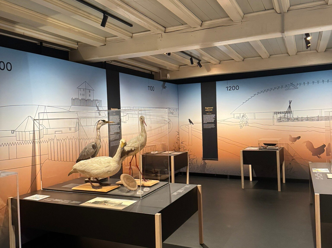 Flipje & Streekmuseum-蒂尔必去景点