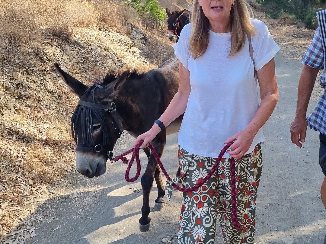 Donkey Dreamland-卡拉德米哈斯必去景点