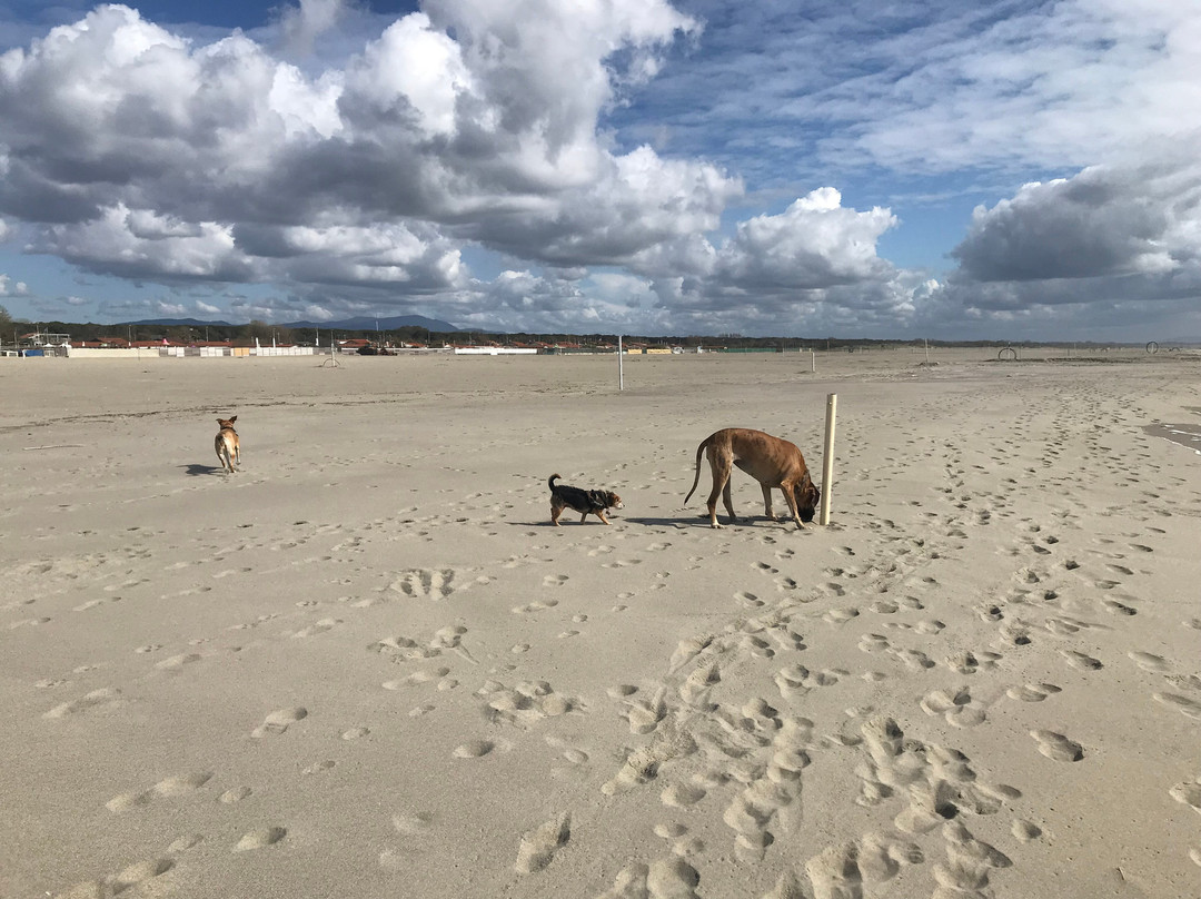 Spiaggia Della Lecciona-维亚雷焦必去景点