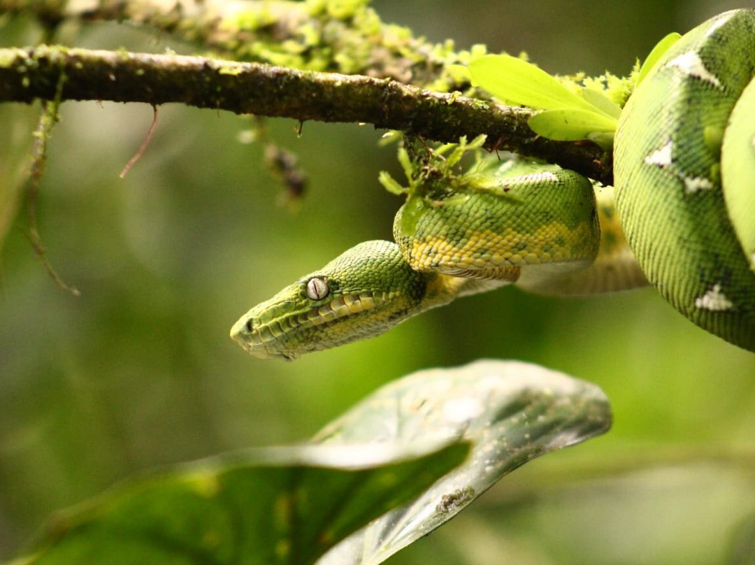 Manu Wildlife Tours-库斯科必去景点