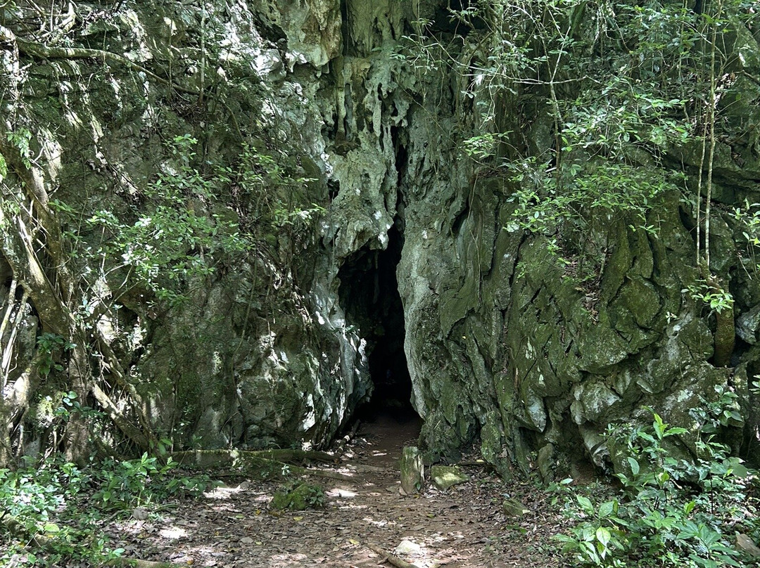 Vegas Grande Waterfall-Topes de Collantes必去景点