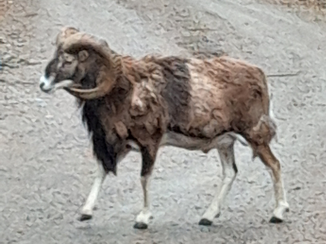 Kosta Safaripark-Kosta必去景点