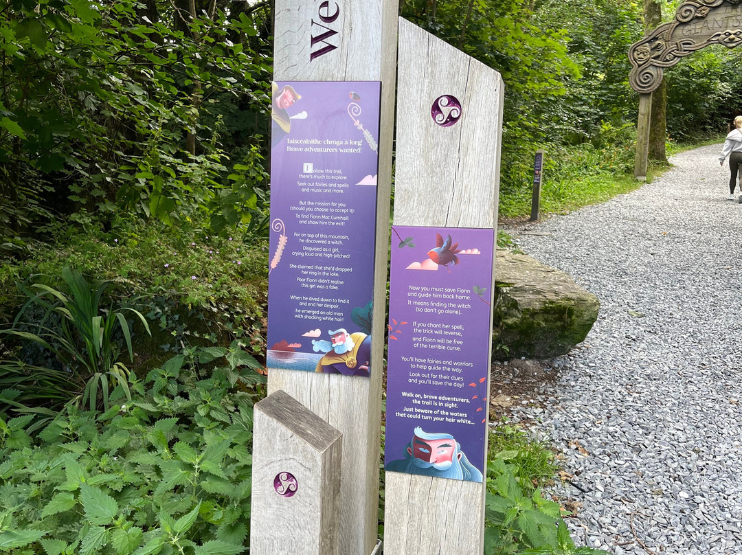 Slieve Gullion Forest Park-纽里必去景点