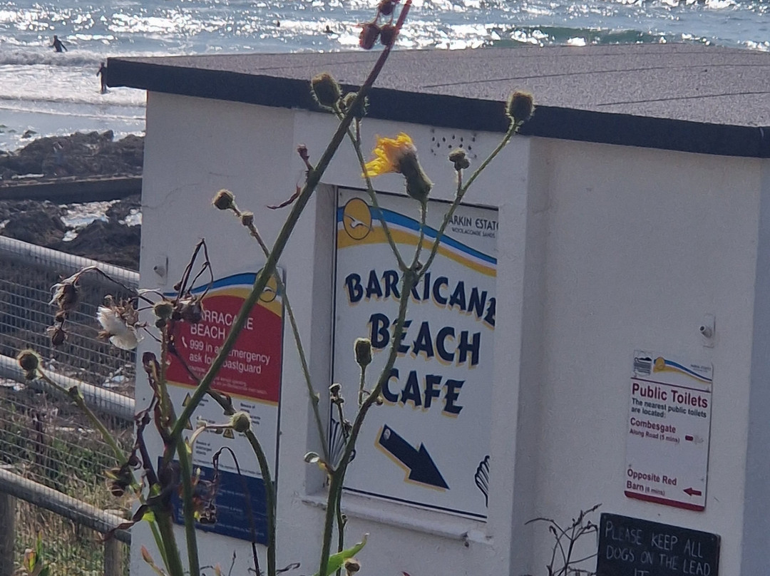 Barricane Beach-Mortehoe必去景点