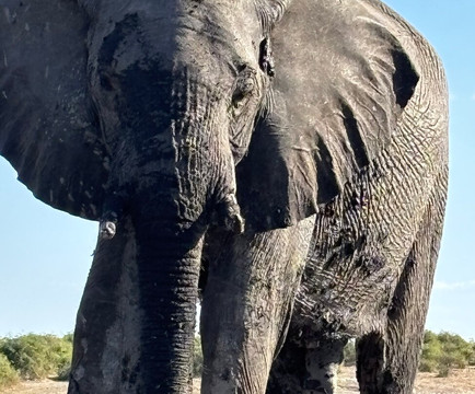 Bushtrails Tours and Safaris-温德和克必去景点