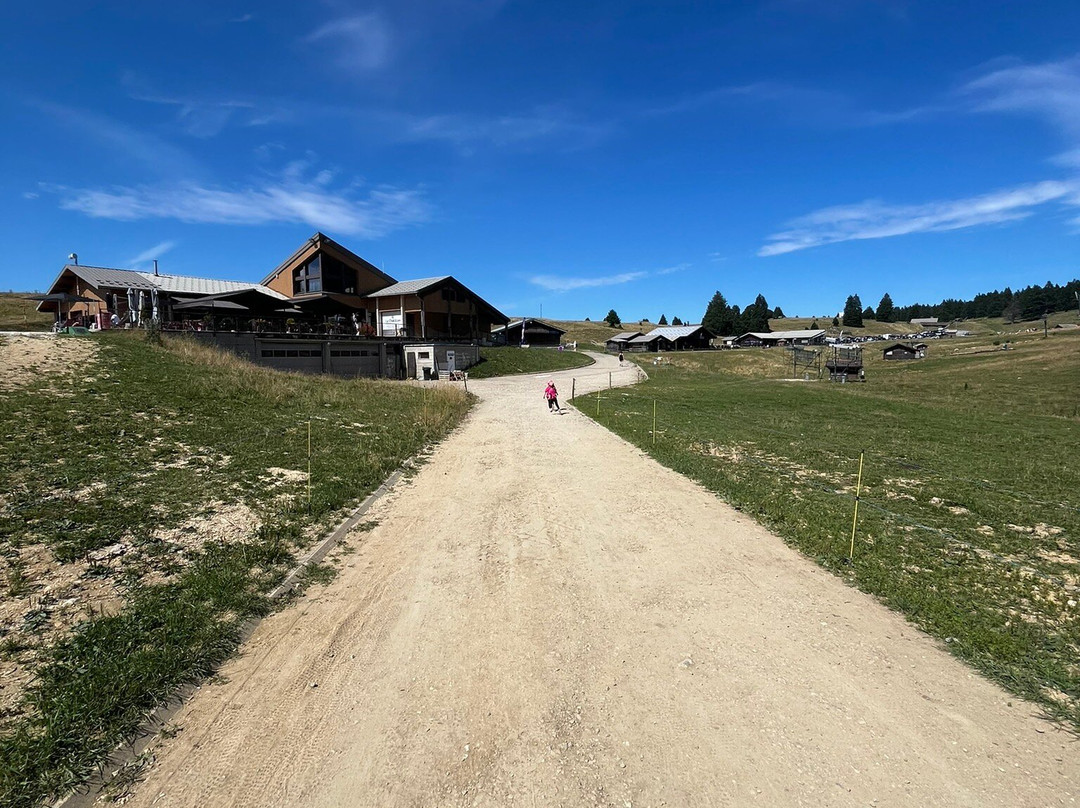 Luge D'été Semnoz-Viuz-la-Chiesaz必去景点