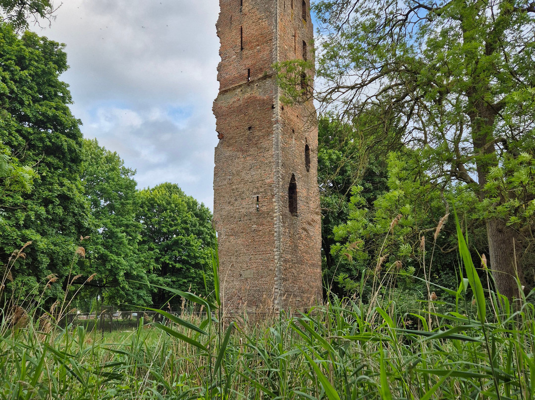 De Ruïne Van Het Kasteel Van Strijen-Oosterhout必去景点