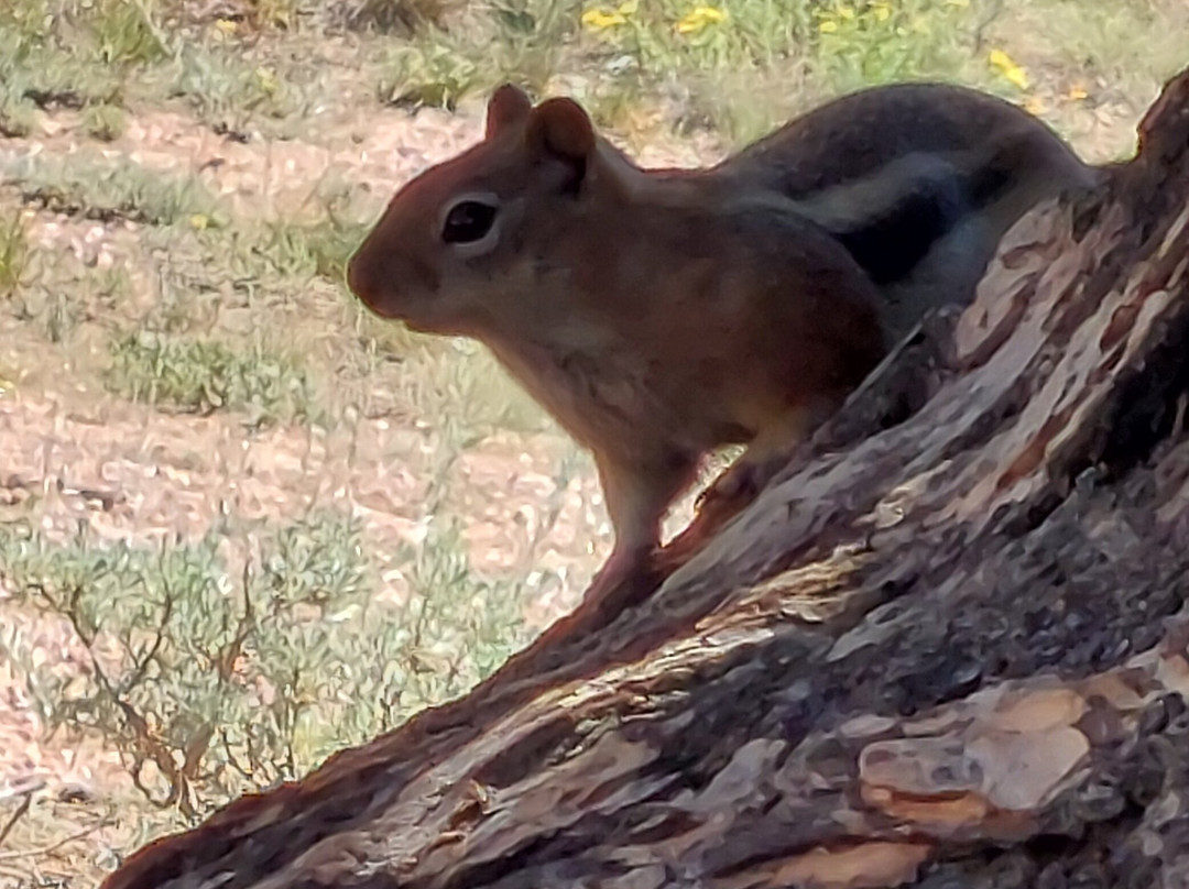 Vedauwoo-拉勒米必去景点