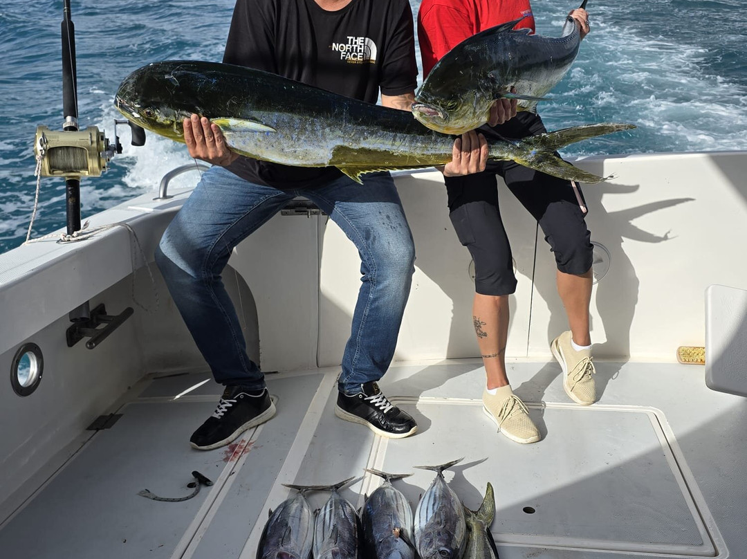 Royal Big Game Fishing Mauritius-卓得多斯必去景点