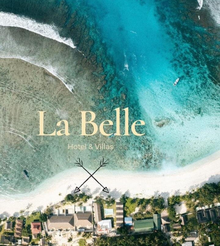 La Belle Hollow Trees