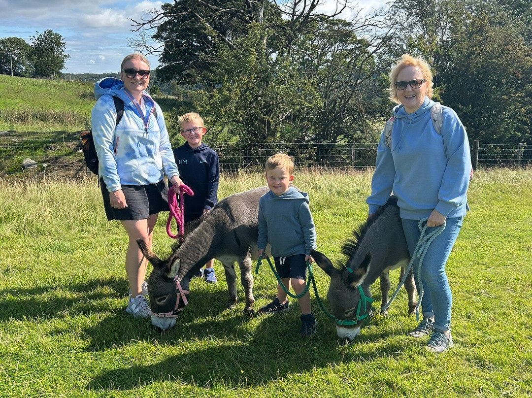 Moel Famau Donkeys-Llanferres必去景点