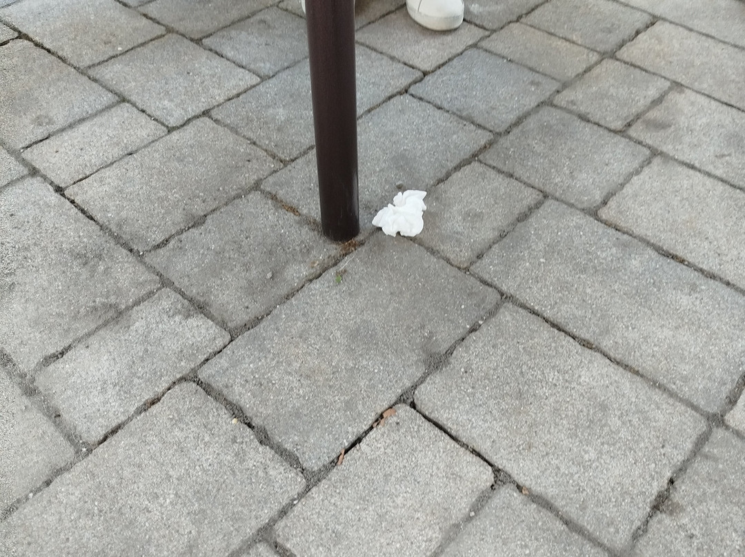 Formaggeria Carozzi-Pasturo必去景点